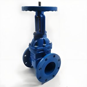 手動(dòng)閘閥Z41T-16 DN50/DN65廠家直銷，上海發(fā)