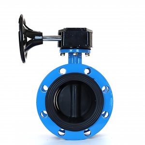 法蘭式蝸輪蝸桿蝶閥DN125，1.6Mpa橡膠密封