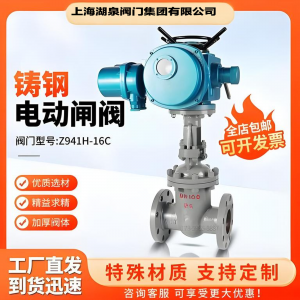 電動(dòng)閘閥z941h-16c  DN150普通開(kāi)關(guān)型