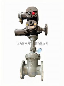 湖泉Z941H-25C DN125礦用隔爆型電動(dòng)閘閥